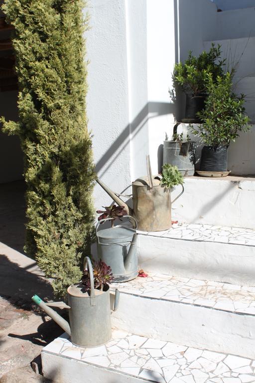 Cape Karoo Guesthouse Beaufort West Bagian luar foto